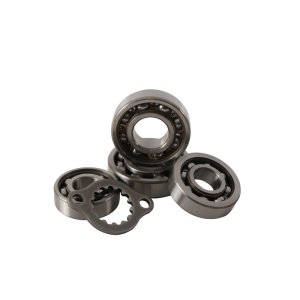 Honda TRX 400 EX Transmission Bearing Kit - Hot Rods - `05-`08 Honda TRX 400 EX Transmission Bearing Kit - Hot Rods - `05-`08